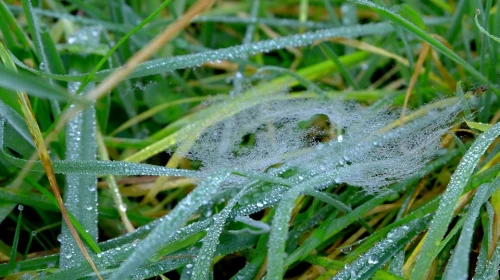 Previsione serale per il 21-04: Giornata buona ma fredda, ancora possibili rovesci